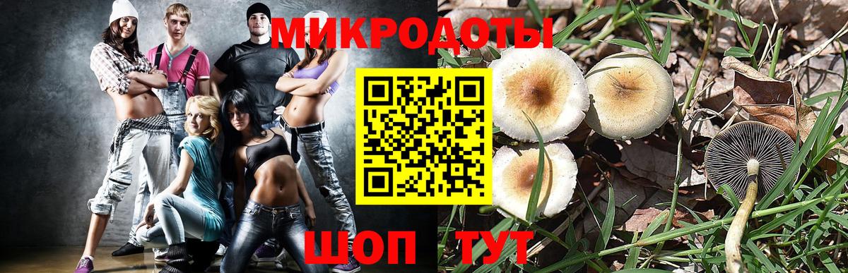 Псилоцибиновые грибы Magic Shrooms Саратов