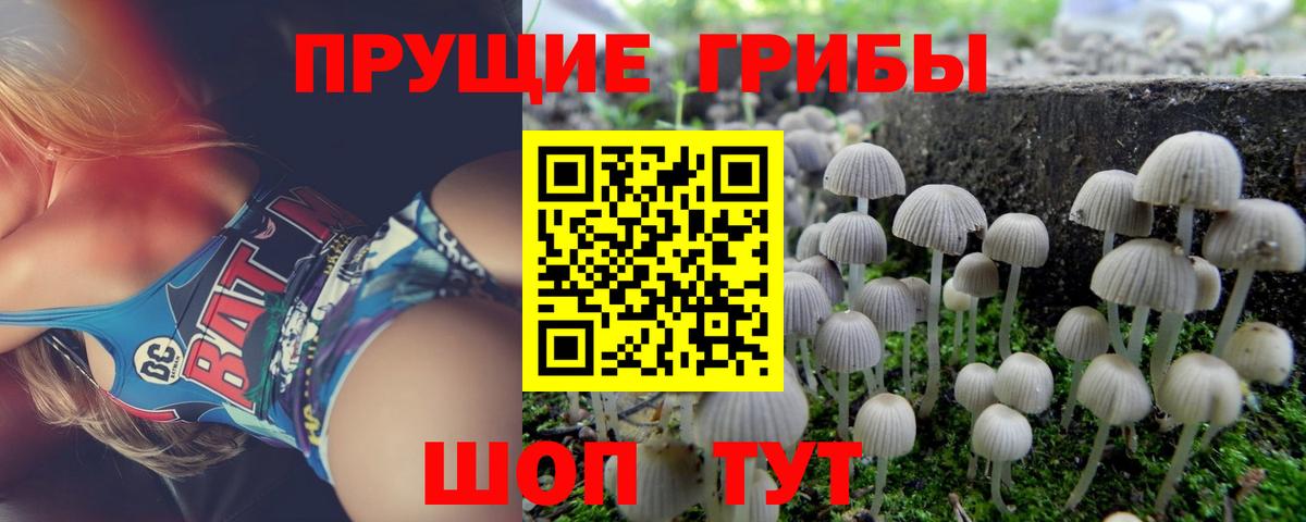 Саратов  Псилоцибиновые грибы мицелий  цена наркотик  Вход с VPN 
